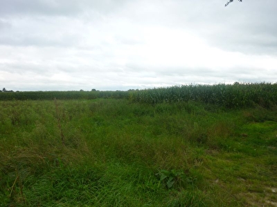 Terrain Combourg 1136 m2 SUD-OUEST