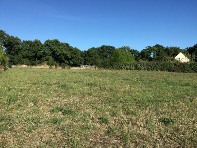 VENTE - NOYAL-MUZILLAC - Terrain de 1157 m² VENTE - NOYAL-MUZILLAC - Terrain de 1157 m²