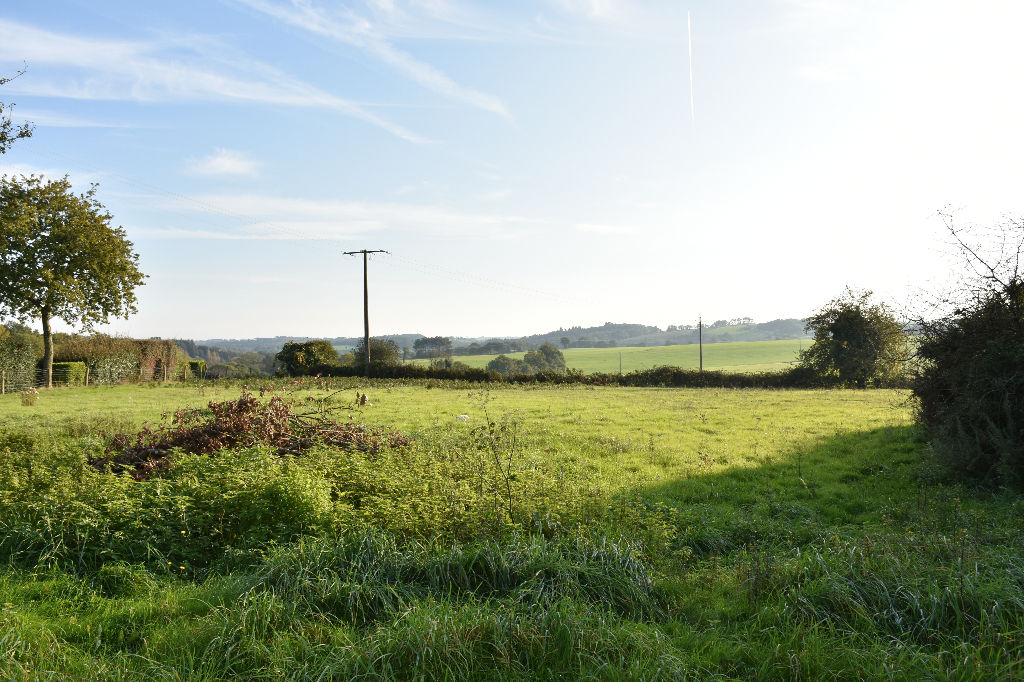 NOYAL-MUZILLAC - Terrain 3363 m2 NOYAL-MUZILLAC - Terrain 3363 m2