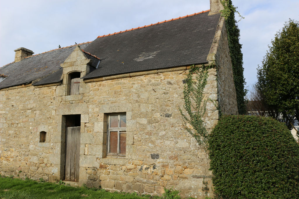 PEAULE PEAULE