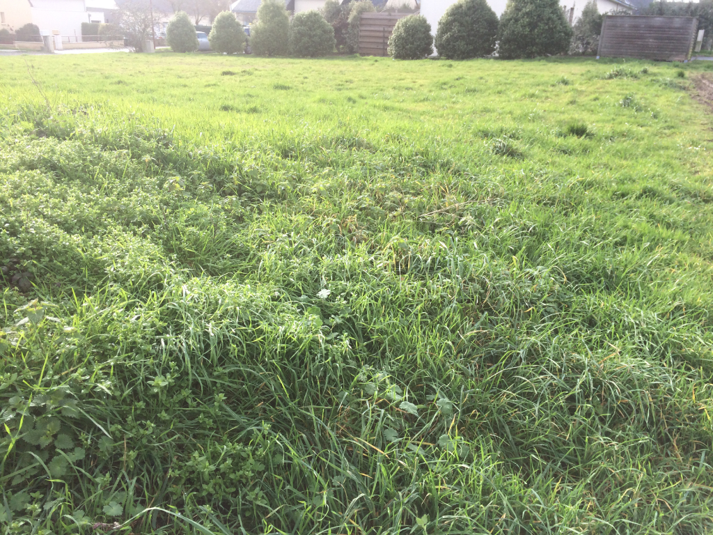 MUZILLAC - Terrain à bâtir de 620 m² MUZILLAC - Terrain à bâtir de 620 m²