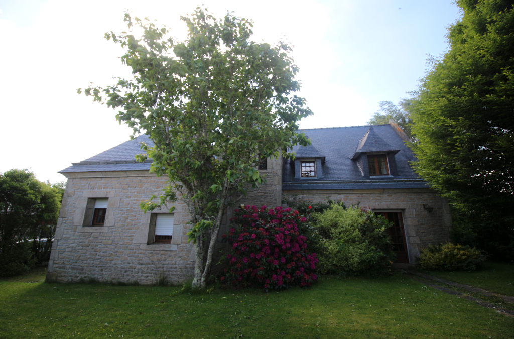 PEAULE - T 7 PEAULE - T 7