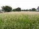 Terrain P�AULE