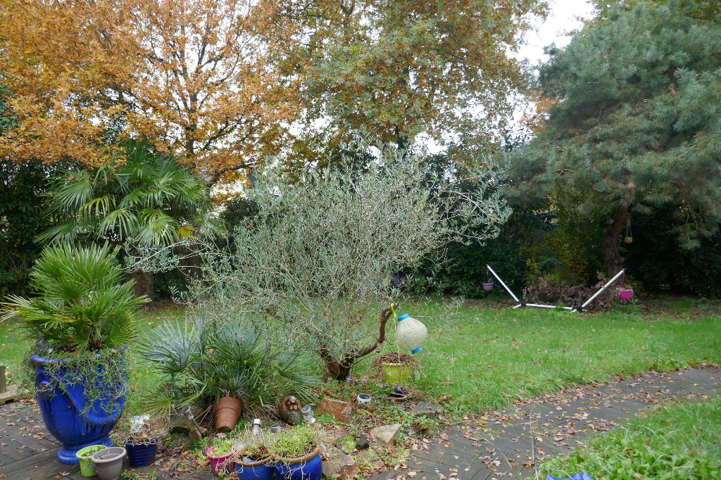 230 M² HABITABLES A THOUARE SUR LOIRE 230 M² HABITABLES A THOUARE SUR LOIRE