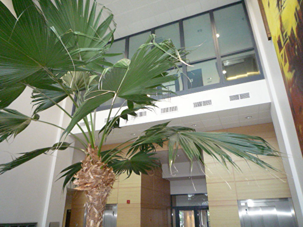 A LOUER - BUREAUX RENNES OUEST A LOUER - BUREAUX RENNES OUEST