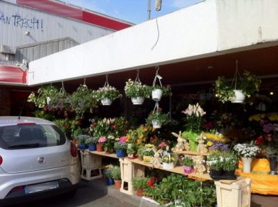 Local commercial Brest 55 m2