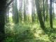 Terrain constructible Pont Aven 1975 m2