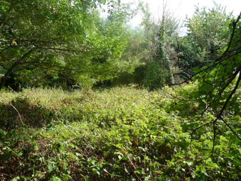 Terrain Nevez 1060 m2