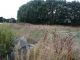 Terrain Tregunc 735 m2