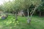 Maison Nevez 4 pi�ce(s) 84 m2 Proche Port Manec'h!