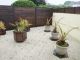 A vendre Maison Tregunc proche mer, plage � pied!