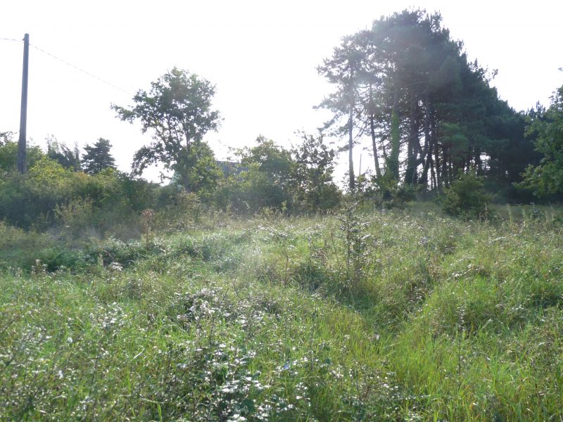 Terrain Tregunc 1119 m2 plage � pieds