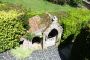 Demeure de prestige Pont Aven 9 pi�ce(s)