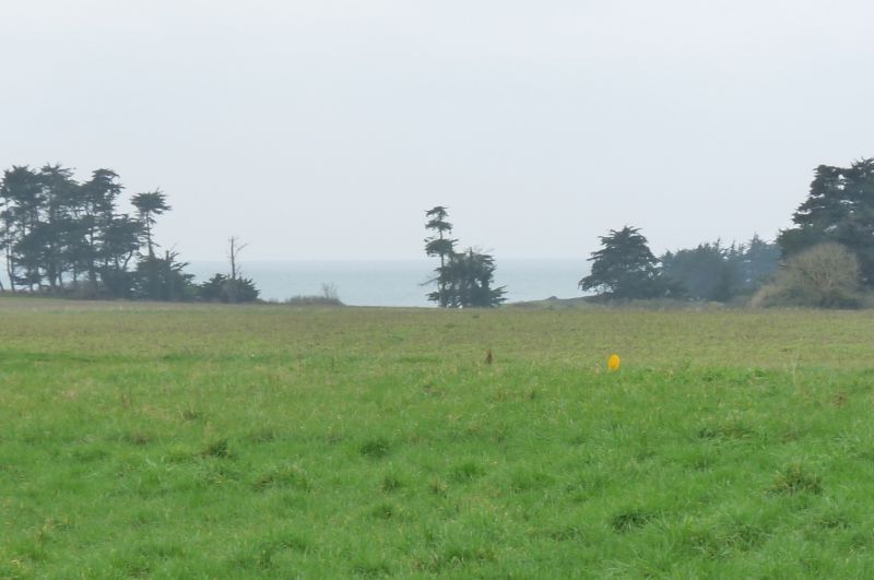 Terrain Tregunc 1205 m2