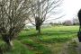 Terrain Tregunc 728 m2