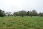 Terrain Nevez 970 m2