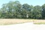 A VENDRE Terrain Pont Aven 540   m2