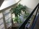 Maison Rennes 6 pi�ce(s) 200 m2