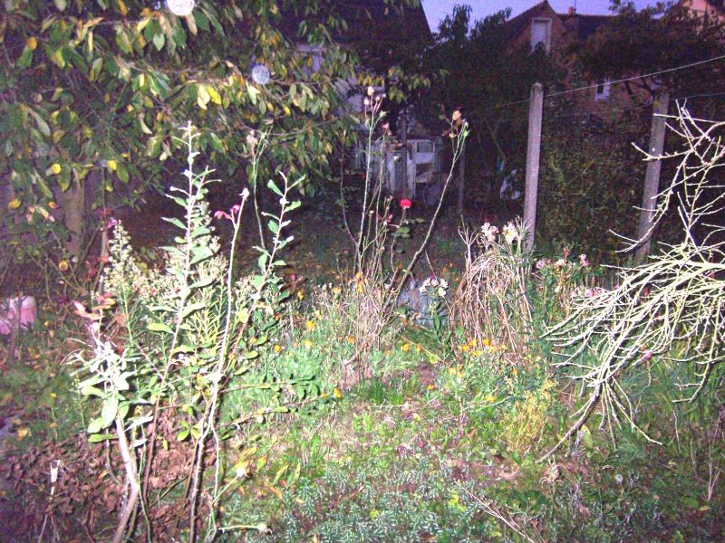 Maison Renns 4 pi�ce(s) 80 m2