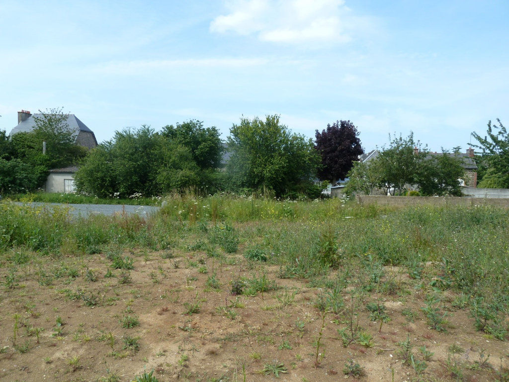 A VENDRE : SAINT-QUAY TERRAIN CONSTRUCTIBLE BORNE ET VIABILISE ! A VENDRE : SAINT-QUAY TERRAIN CONSTRUCTIBLE BORNE ET VIABILISE !