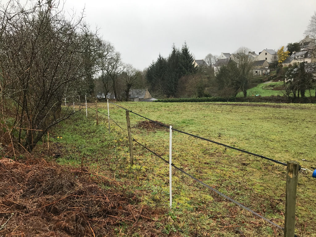 Terrain constructible de 4000m2 + hangar Quistinic Terrain constructible de 4000m2 + hangar Quistinic