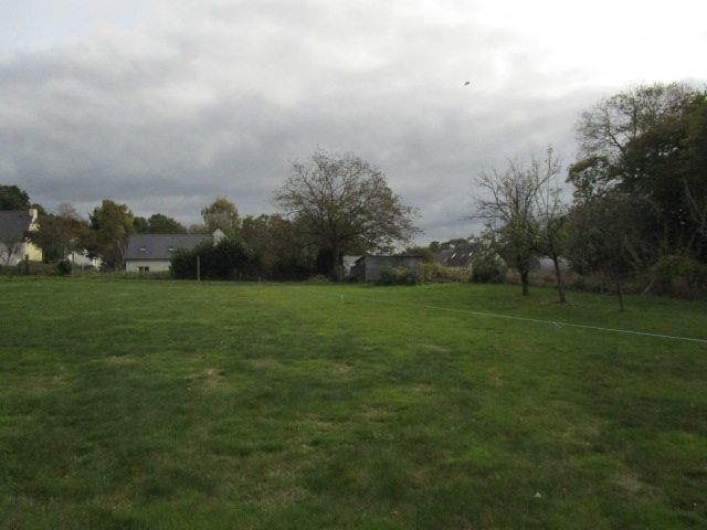 Terrain 800 m2 Terrain 800 m2