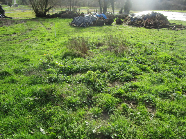 Terrain Moustoir Ac 1000 m2 Terrain Moustoir Ac 1000 m2
