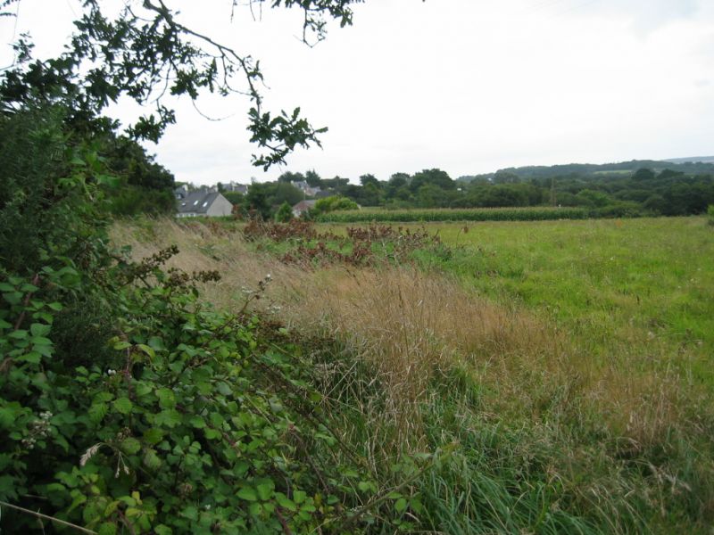 Terrain Breles
