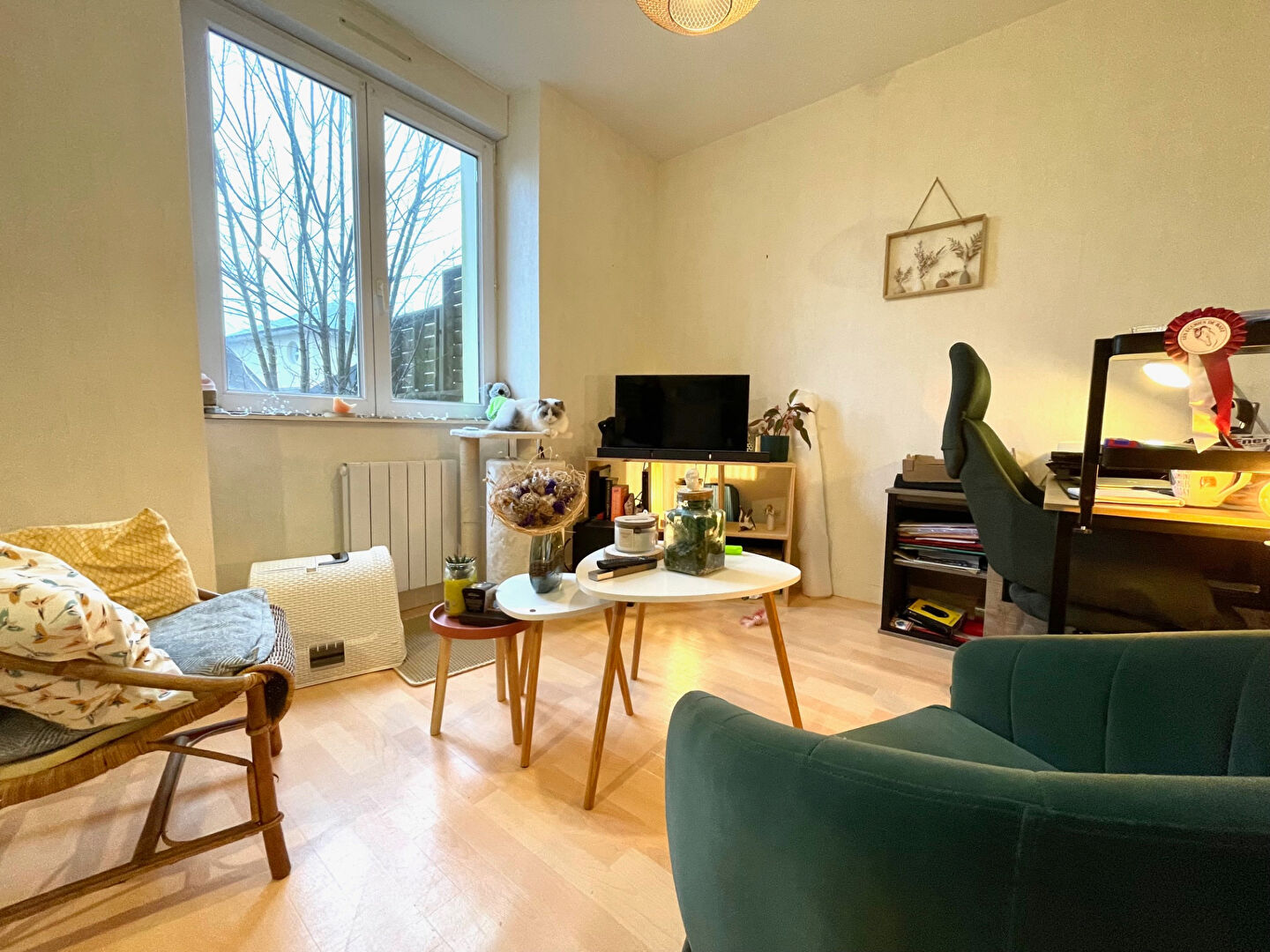 T1 BIS - AVENUE DE KERBONNE - 30 m2 T1 BIS - AVENUE DE KERBONNE - 30 m2