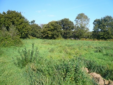 Terrain LE FAOU