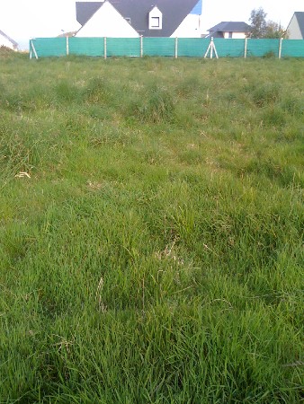 Terrain St Pol De L�on