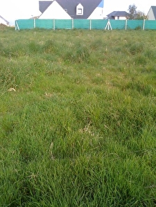 Terrain St Pol De L�on