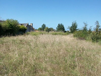 SANTEC : terrain