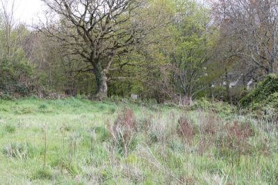 BREST - STANGALARC'H - TERRAIN DE  805 M2 VIABILISE EN BORDURE DU VALLON