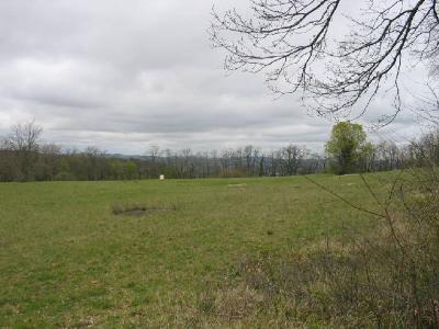  Terrain � b�tir Pujols