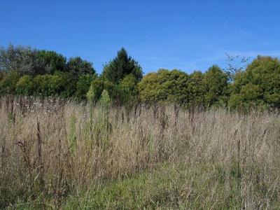  Terrain � b�tir Villeneuve Sur Lot