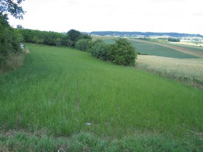  Terrain � b�tir St Pastour