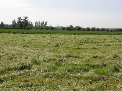  Terrain � b�tir Castelmoron Sur Lot