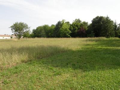  Terrain � b�tir La Sauvetat Sur Lede