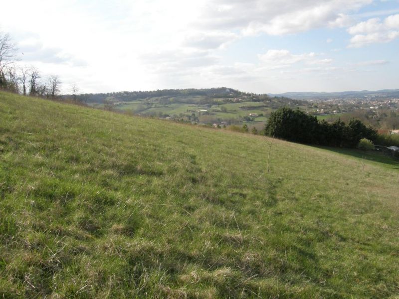  Terrain