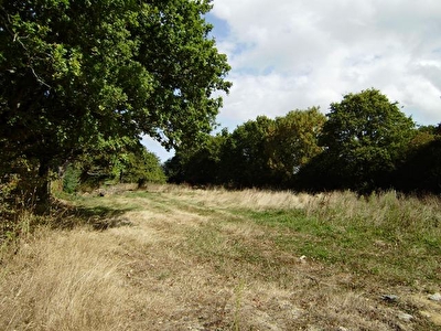 Terrain a vendre a Arzal 647 m2