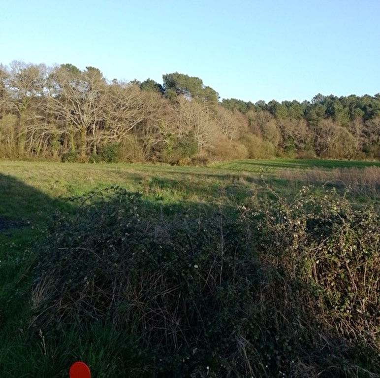 Terrain de 4681 m² à vendre Quartier calme 44410 HERBIGNAC LOIRE ATLANTIQUE Terrain de 4681 m² à vendre Quartier calme 44410 HERBIGNAC LOIRE ATLANTIQUE