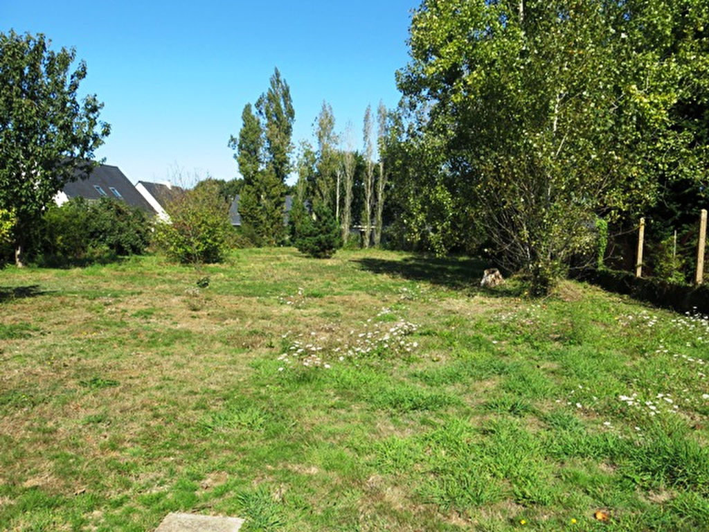 Terrain à bâtir viabilisé 1000 m2 à 1 km du centre de Penestin par les sentiers et à 2 kms des plages Terrain à bâtir viabilisé 1000 m2 à 1 km du centre de Penestin par les sentiers et à 2 kms des plages