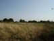 Terrain Herbignac 1084 m2