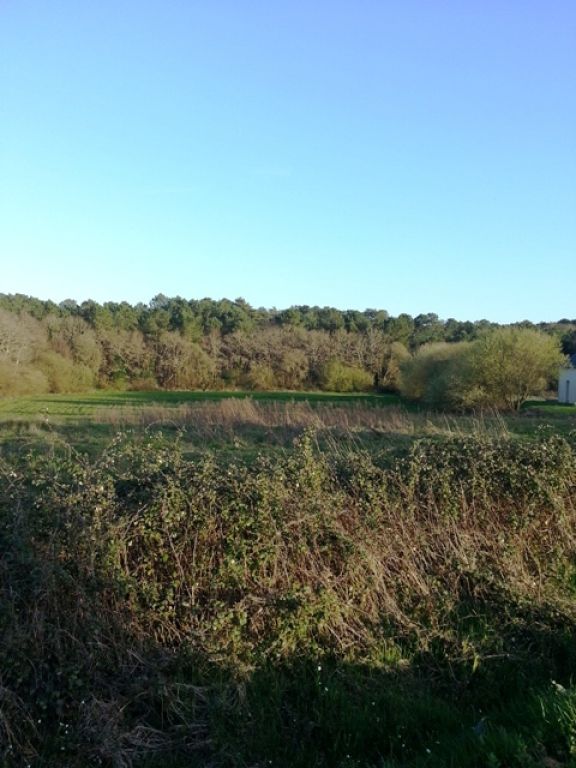 parcelle constructible de 920 m² à vendre 44410 HERBIGNAC au calme en impasse parcelle constructible de 920 m² à vendre 44410 HERBIGNAC au calme en impasse
