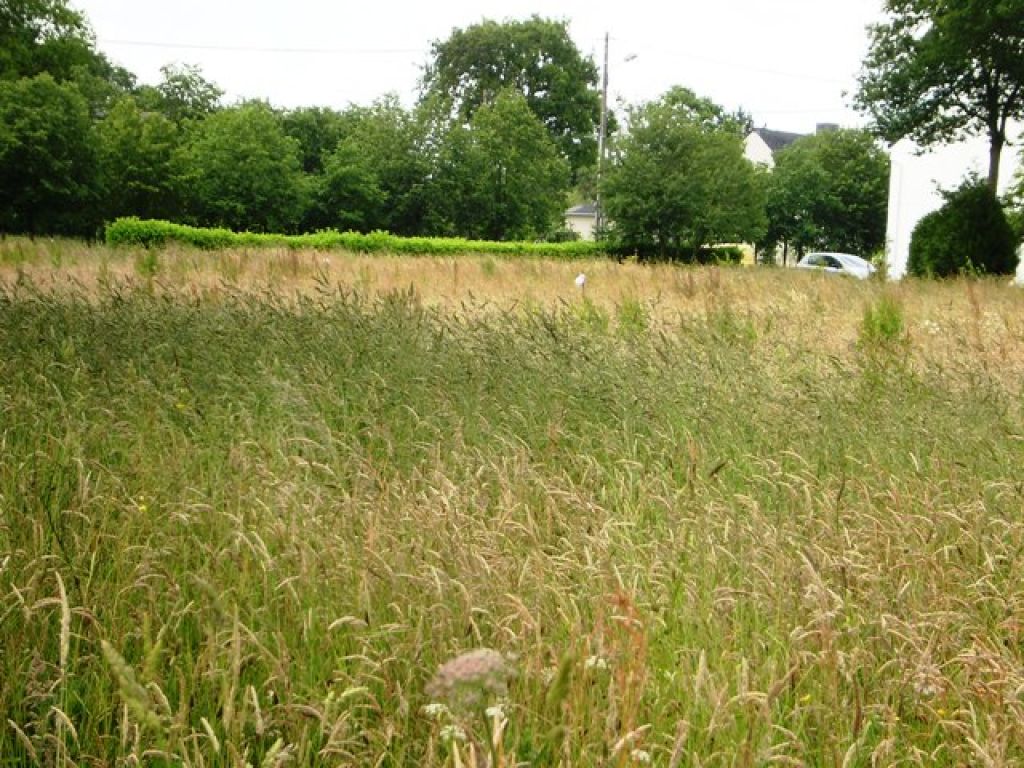 A VENDRE terrain a bâtir de 821 m² proche commerces FEREL 56130 MORBIHAN SUD A VENDRE terrain a bâtir de 821 m² proche commerces FEREL 56130 MORBIHAN SUD