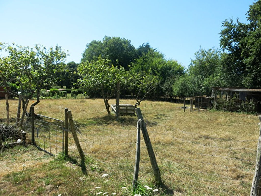 A VENDRE Terrain constructible 56760 Penestin 611 m2 quartier agréable BRETAGNE SUD A VENDRE Terrain constructible 56760 Penestin 611 m2 quartier agréable BRETAGNE SUD