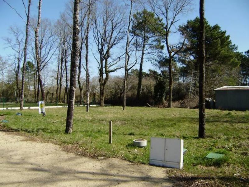 Terrain Arzal 602 m2