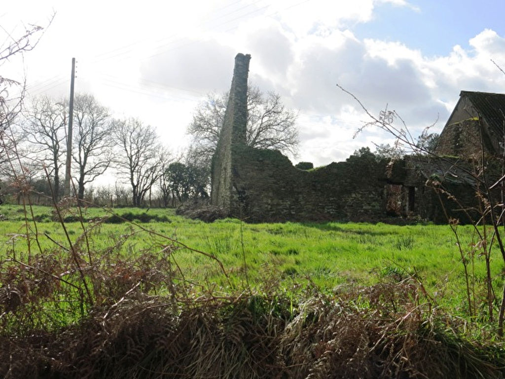 Entre HERBIGNAC et LA CHAPELLE DES MARAIS, un terrain à bâtir de 490 m² avec ruine en pierres Entre HERBIGNAC et LA CHAPELLE DES MARAIS, un terrain à bâtir de 490 m² avec ruine en pierres