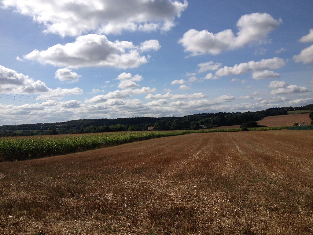 SAINT DOLAY-NIVILLAC, TERRAIN CONSTRUCTIBLE DE PLUS DE 4600 M² SAINT DOLAY-NIVILLAC, TERRAIN CONSTRUCTIBLE DE PLUS DE 4600 M²